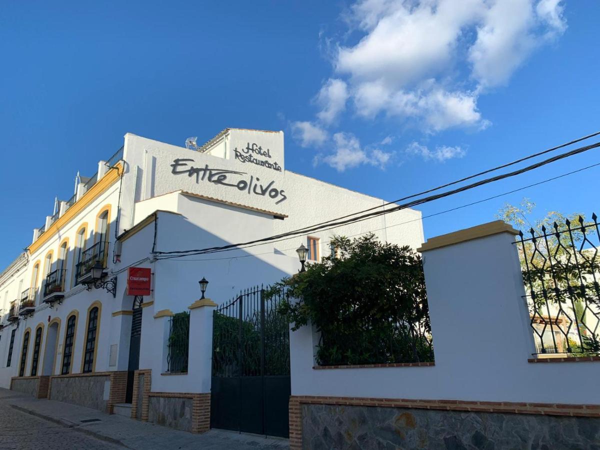 Hotel Entreolivos El Pedroso Luaran gambar