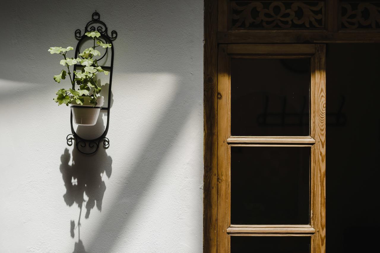 Hotel Entreolivos El Pedroso Luaran gambar